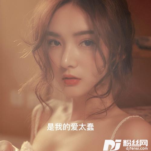 是我爱的太蠢的专辑
