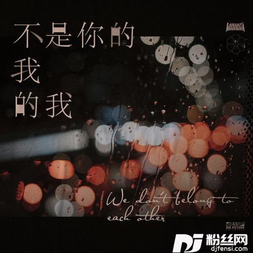 不是你的我的我
