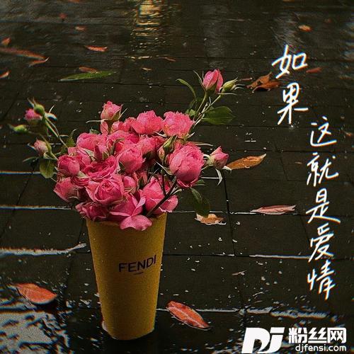 如果这就是爱情1.3x的专辑