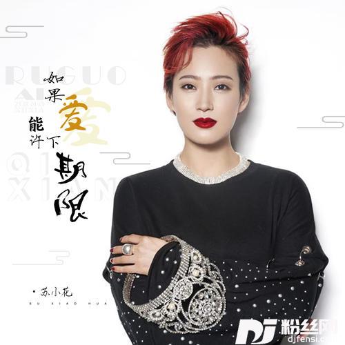 如果爱能许下期限