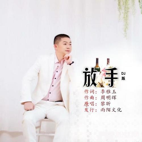 放手DJ何鹏版的专辑