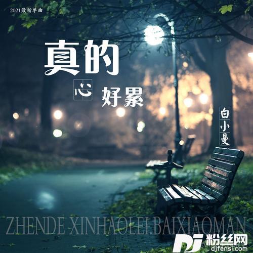 真的心好累DJheap九天版