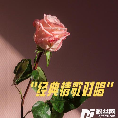 万千宠爱在一身