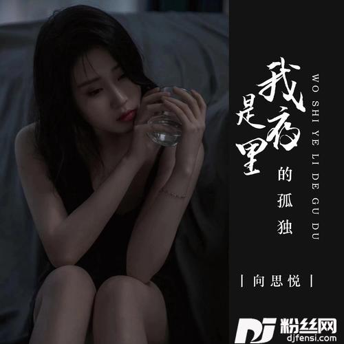 我是夜里的孤独DJ九锐版的专辑