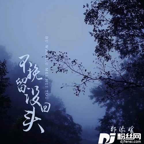 不挽留没回头DJ阿卓版的专辑