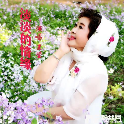 淡淡的情缘