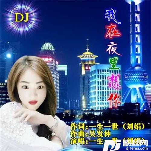我在夜里想你DJ版