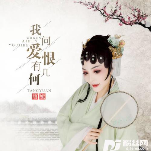 我问爱恨有几何DJ何鹏版的专辑