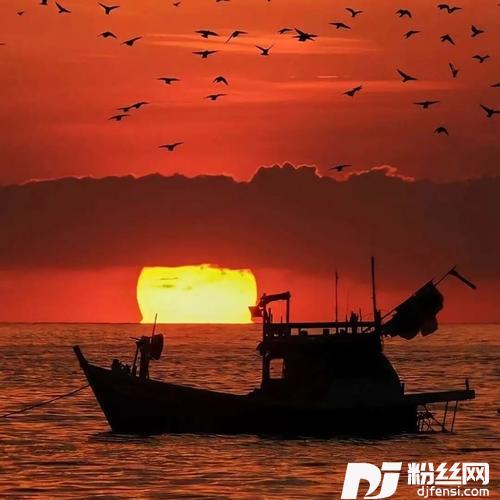 抖音热门背景音乐抖音DJ版