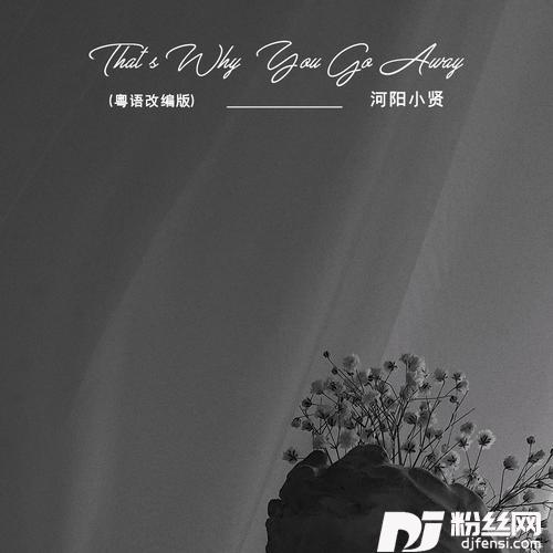 That’sWhyYouGoAway粤语改编版的专辑