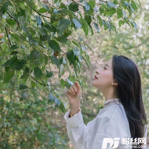 路边的野花不要采cover:邓丽君的专辑