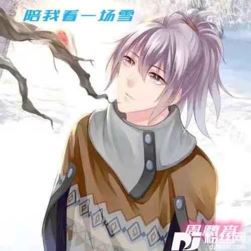 陪我看一场雪
