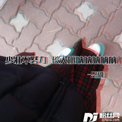 少壮不努力长大哦呐呐呐呐呐的专辑