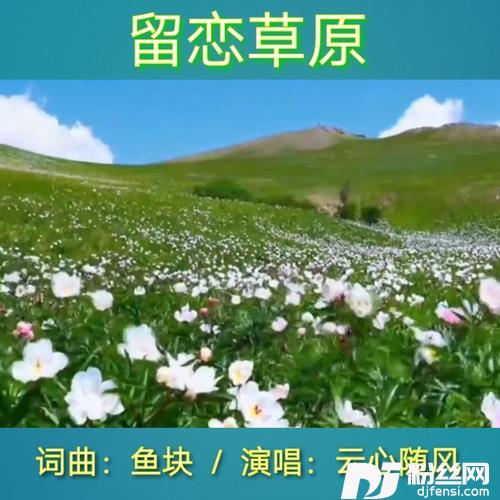 留恋草原cover:燕尾蝶