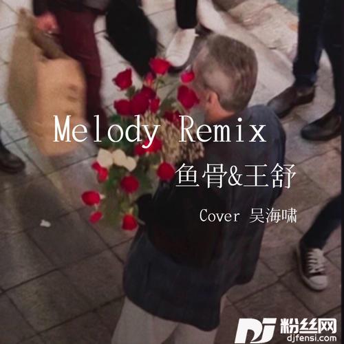MelodyRemix（翻自吴海啸）