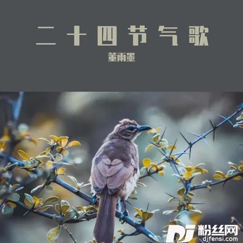 窗前木芙蓉