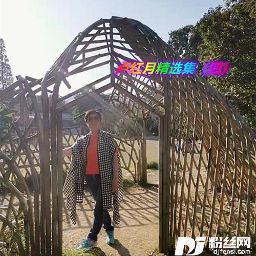 花前月下的专辑