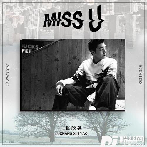 MISSU