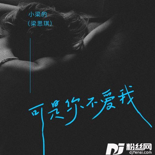 可是你不爱我DJ九零版的专辑