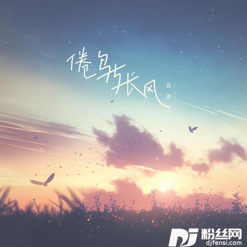 倦鸟与长风