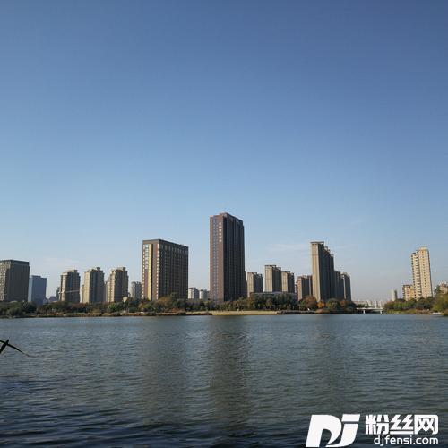 蔚蓝海岸（女声）的专辑