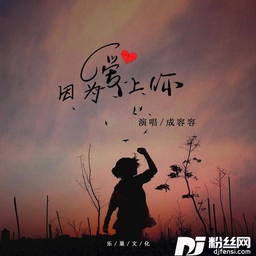 因为爱上你