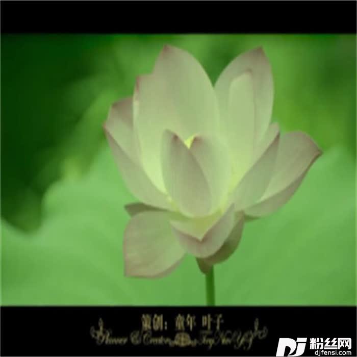 康美心语