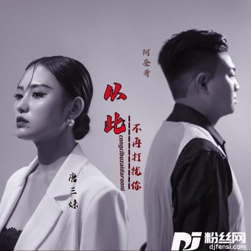 十想郎DJ版的专辑