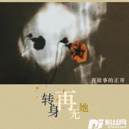 转身再无她DJ王浩版的专辑