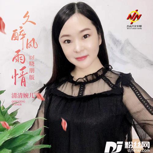 久醉风雨情DJ晓朋版的专辑