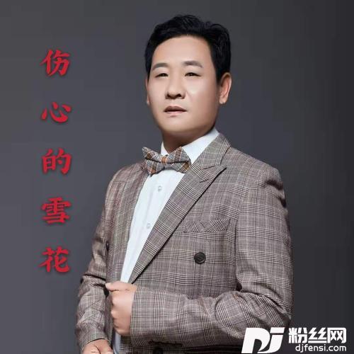 伤心的雪花（DJ何鹏版）cover:笑天