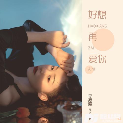 好想再爱你DJ沈念版