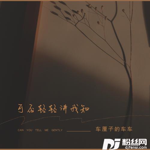 可否轻轻讲我知