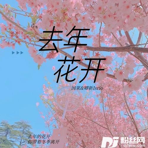 去年花开cover:阿输吖|李尖尖的专辑