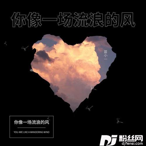 你像一场流浪的风