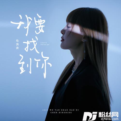我要找到你DJ豪大大版