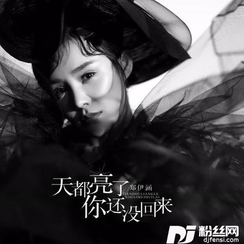 天都亮了你还没回来DJ小四ProghouseMix原乡鼓