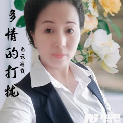 多情的打扰cover:李英