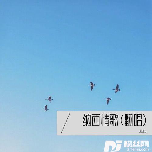 纳西情歌cover:尹智琳的专辑