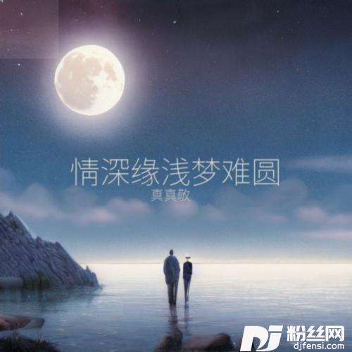 情深缘浅梦难圆的专辑
