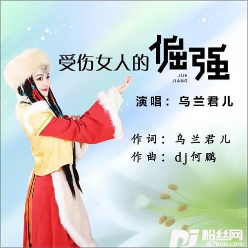 受伤女人的倔强DJ何鹏版