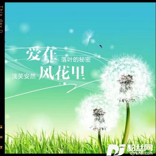 爱在风花里cover:陈瑞|徐铭浩