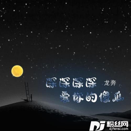 深深深深爱你的傻瓜DJ版