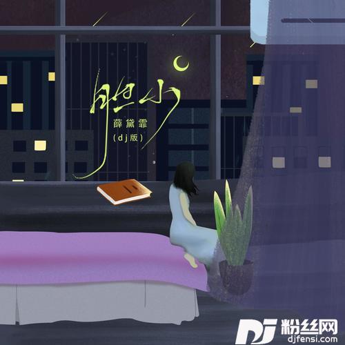 胆小DJ版