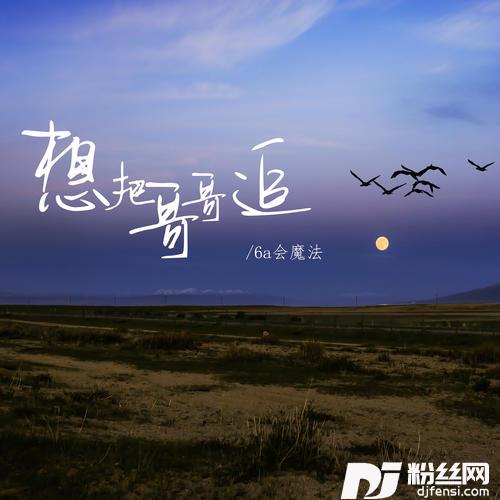 想把哥哥追