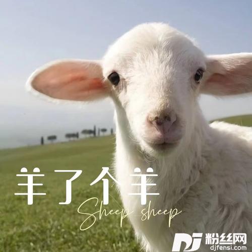 羊了个羊