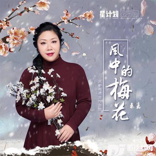 风中的梅花的专辑