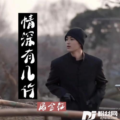 情深有几许cover:蔷薇团长的专辑
