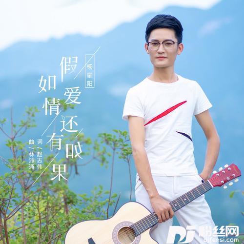 假如爱情还有如果的专辑