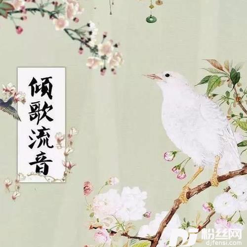 寻常一念的专辑